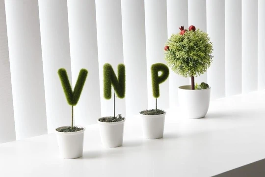 Vatgia.com, Baokim.vn, Nhanh.vn của VNP làm ăn thế nào? (Nguồn: VNP Group)