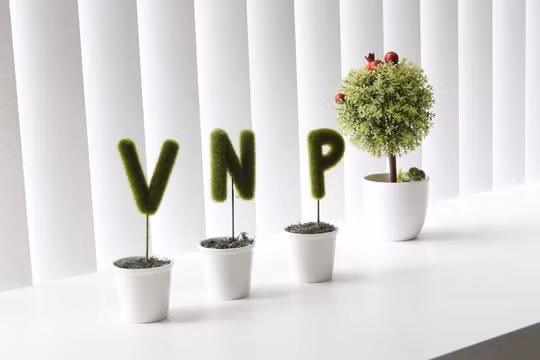 Vatgia.com, Baokim.vn, Nhanh.vn của VNP làm ăn thế nào? (Nguồn: VNP Group)