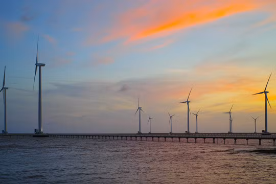 Ảnh minh họa (Nguồn: Internet)