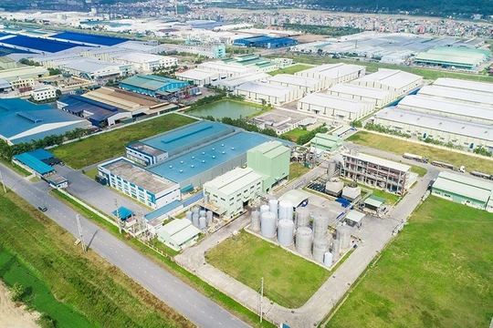 Ảnh minh họa (Nguồn: Internet)