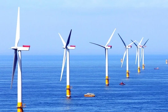 Ảnh minh họa (Nguồn: quangbinh.gov.vn)