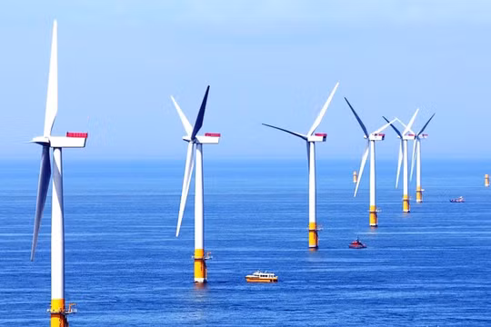 Ảnh minh họa (Nguồn: quangbinh.gov.vn)