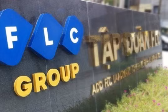 FLC bổ sung 12 ngành kinh doanh: Có vận tải hàng không, có cá cược và đánh bạc. (Ảnh: Internet)