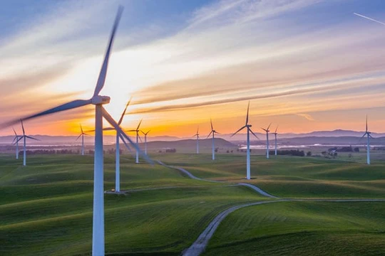 Ảnh minh họa (Nguồn: Internet)