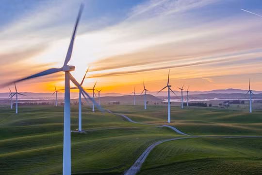 Ảnh minh họa (Nguồn: Internet)