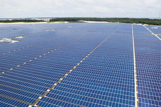 Ảnh minh hoạ (Nguồn: Internet)