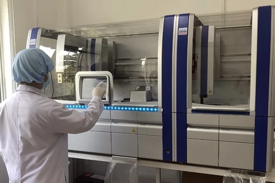 Ảnh minh họa (Nguồn: Internet)