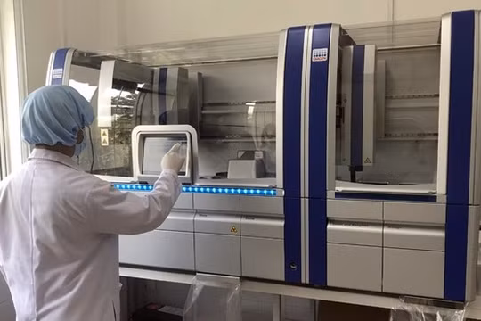 Ảnh minh họa (Nguồn: Internet)