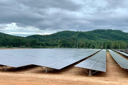 Ảnh minh hoạ (Nguồn: Internet)