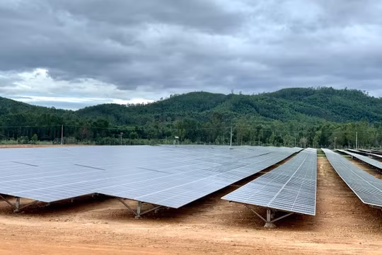 Ảnh minh hoạ (Nguồn: Internet)