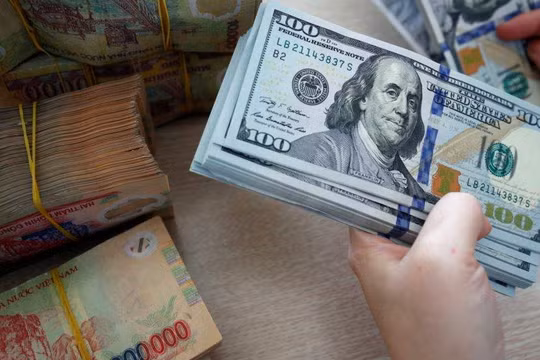 Ảnh minh họa (Nguồn: Internet)