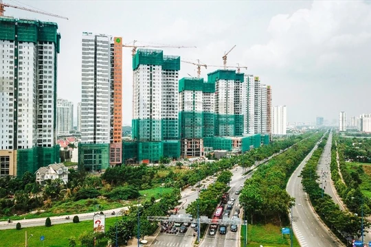 Ảnh minh hoạ (Nguồn: Internet)