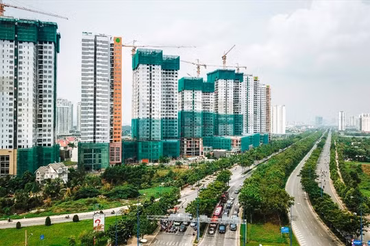 Ảnh minh hoạ (Nguồn: Internet)