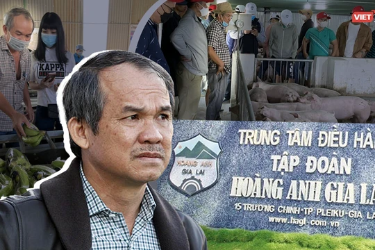 'Bầu' Đức dồn dập báo tin vui, cổ phiếu HAG tăng 50% trong chưa đầy 1 tháng