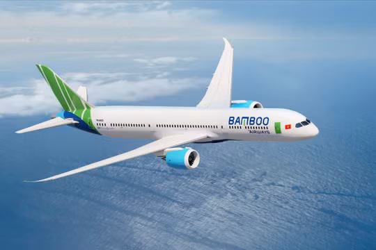 Bình Định tiếp tục áp dụng cưỡng chế nợ thuế với Bamboo Airways