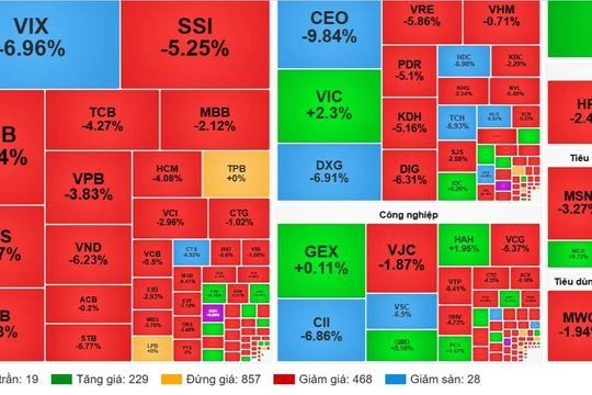 Cổ phiếu CEO, HDC, TCH, DXG... la liệt sàn, VN-Index mất hơn 22 điểm
