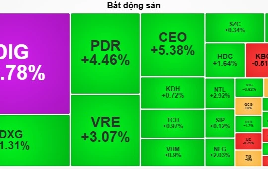 Cổ phiếu bất động sản đua nhau xanh tím sau Tết