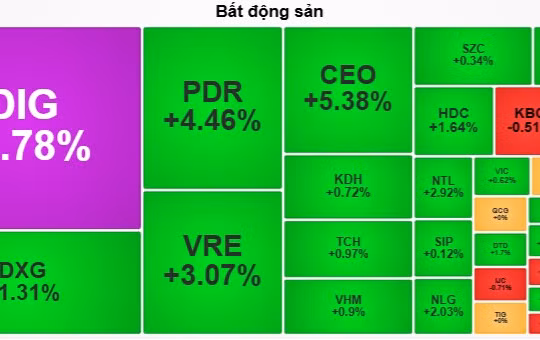 Cổ phiếu bất động sản đua nhau xanh tím sau Tết
