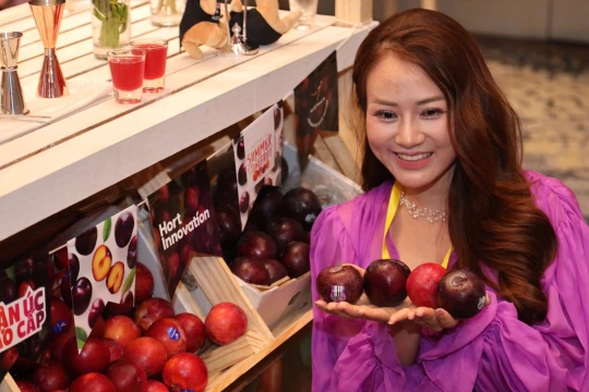 Australia - Việt Nam thúc đẩy xuất khẩu trái cây, "mận Úc" có mặt ở Hà Nội, TP.HCM