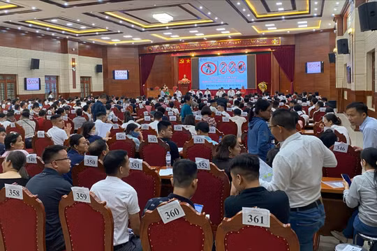 Đã có hơn 370 nhà đầu tư tham dự phiên đấu giá.