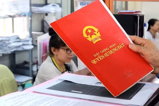 8.000 hồ sơ đất đai của người dân bị ách tắc, Cục Thuế TP.HCM kiến nghị khẩn