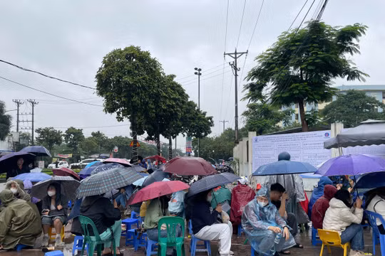 Video: Hàng nghìn người xếp hàng dưới mưa để nộp hồ sơ mua nhà ở xã hội tại Hà Nội