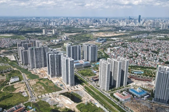 Danh mục đầu tư của Bất động sản TCO tập trung cao vào dự án LUMIÈRE Evergreen