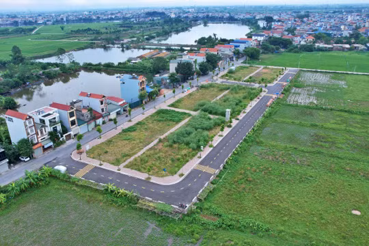 Hậu đấu giá đất hơn 100 triệu đồng/m2 tại Thanh Oai: 55/68 lô chính thức bỏ cọc. Ảnh: Lệ Chi