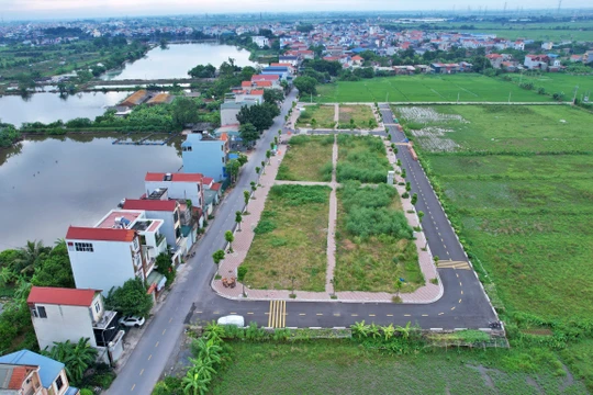 Đấu giá đất ngoại thành Hà Nội: Bộ TNMT chưa phát hiện “kẽ hở”, Bộ Xây dựng nói “cần rà soát”. Ảnh: Lệ Chi