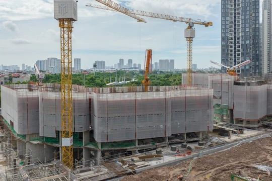 Bất động sản TCO là chủ đầu tư LUMIÈRE Evergreen, trong khi Masterise Homes là đơn vị phát triển.