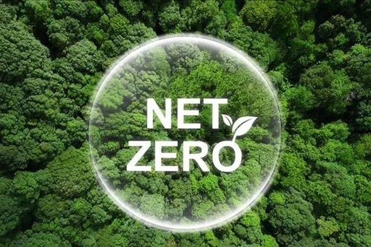 Cuộc đua của doanh nghiệp về xu hướng Net Zero