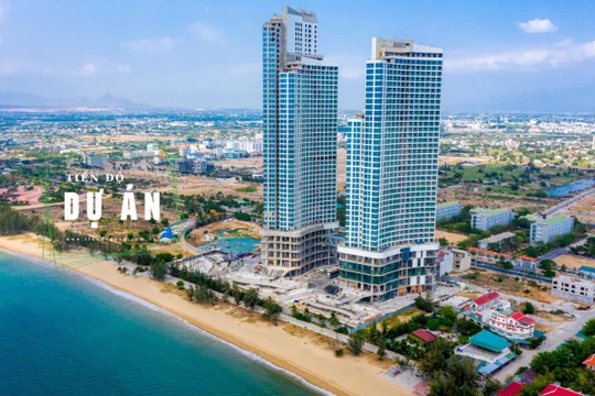 Loạt chủ BĐS nghỉ dưỡng BIM Land, Crystal Bay, Hưng Thịnh Quy Nhơn thua nặng