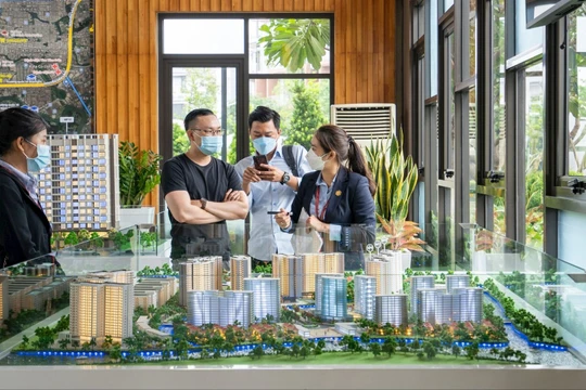 Môi giới phía Bắc đổ bộ vào miền Nam