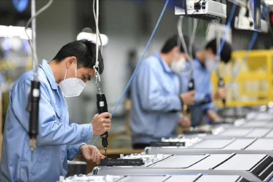 Mỗi tháng có hơn 20.000 doanh nghiệp thành lập mới và trở lại hoạt động