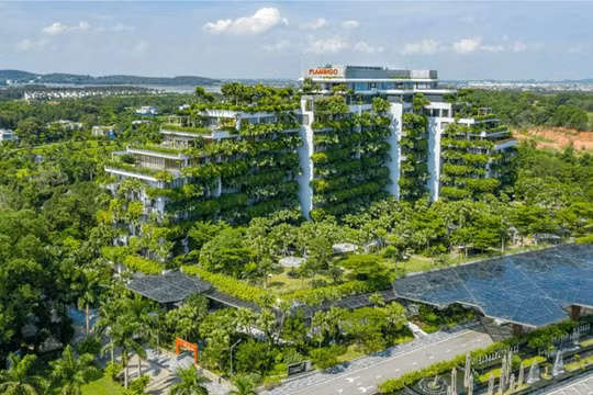 Trong khi nhiều doanh nghiệp nghỉ dưỡng ghi nhận lỗ hàng trăm tỷ đồng, riêng Flamingo vụt sáng khi báo lãi 176 tỷ đồng.