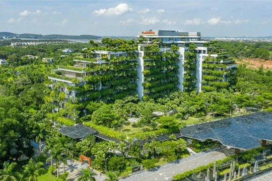 Trong khi nhiều doanh nghiệp nghỉ dưỡng ghi nhận lỗ hàng trăm tỷ đồng, riêng Flamingo vụt sáng khi báo lãi 176 tỷ đồng.