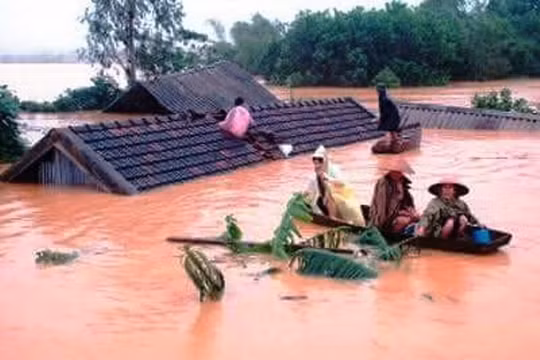 Ảnh minh họa. Nguồn Internet