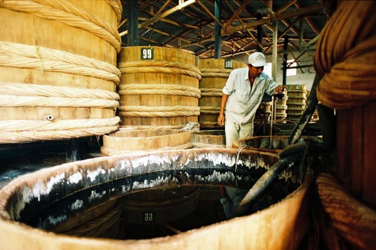 Ảnh minh họa. Nguồn Internet