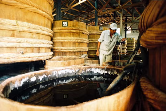 Ảnh minh họa. Nguồn Internet