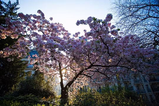 "Ánh sáng làm nên nhiếp ảnh. Hãy trân trọng nó, chiêm ngưỡng nó và đặc biệt là yêu nó. Nếu muốn chụp một bức ảnh đẹp, hãy biết giá trị của ánh sáng đó như thế nào, đó chính là chìa khoá." - George Eastman.