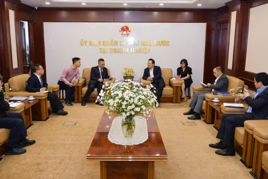 Toàn cảnh buổi làm việc giữa lãnh đạo CMSC và đoàn công tác của Tập đoàn Đất hiếm Trung Quốc, hôm 23/11 (Nguồn: CMSC)