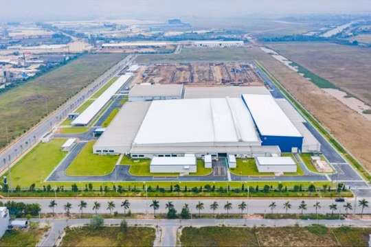 Gelex báo lãi 1.000 tỉ đồng sau nửa đầu năm 2023, hoàn thành 80% kế hoạch năm