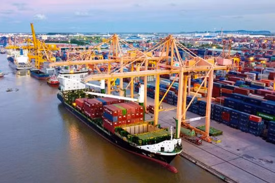 Hải Phòng sắp có khu thương mại tự do tại huyện Tiên Lãng