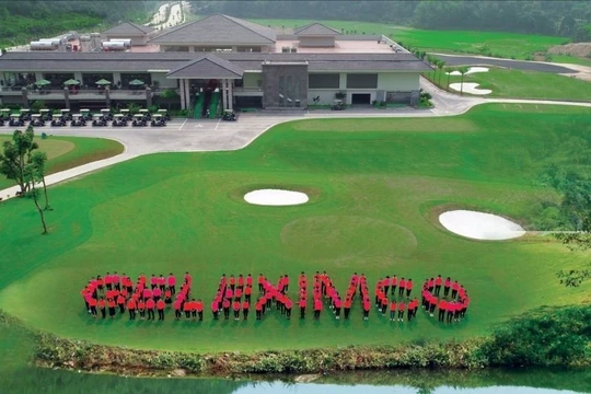 Khối tài sản 1,2 tỉ USD của Geleximco