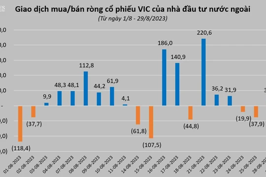 Trợ lực của cổ phiếu VIC