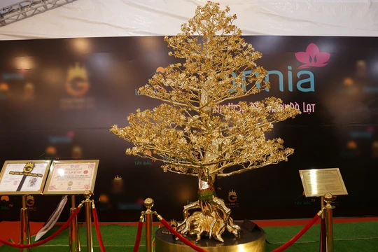 Chiêm ngưỡng "siêu cây" giá bạc tỉ trước tết Nguyên đán 2023