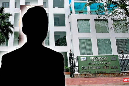 Nguồn lực cho Viconship thâu tóm cảng Nam Hải Đình Vũ