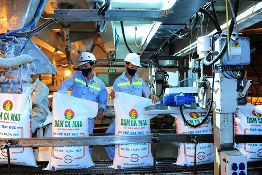 Đạm Cà Mau có 7.500 tỉ đồng tiền gửi ngân hàng