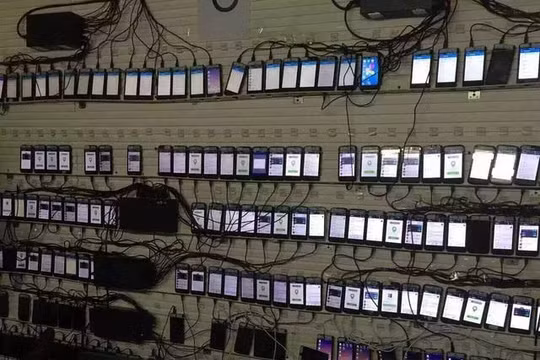 Một “Trại trồng like” ở Trung Quốc