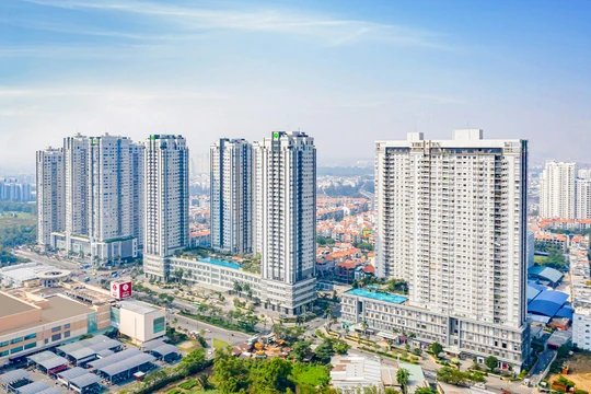 Lỗ sau soát xét, công cuộc tái cấu trúc của Novaland ảnh hưởng thế nào? 